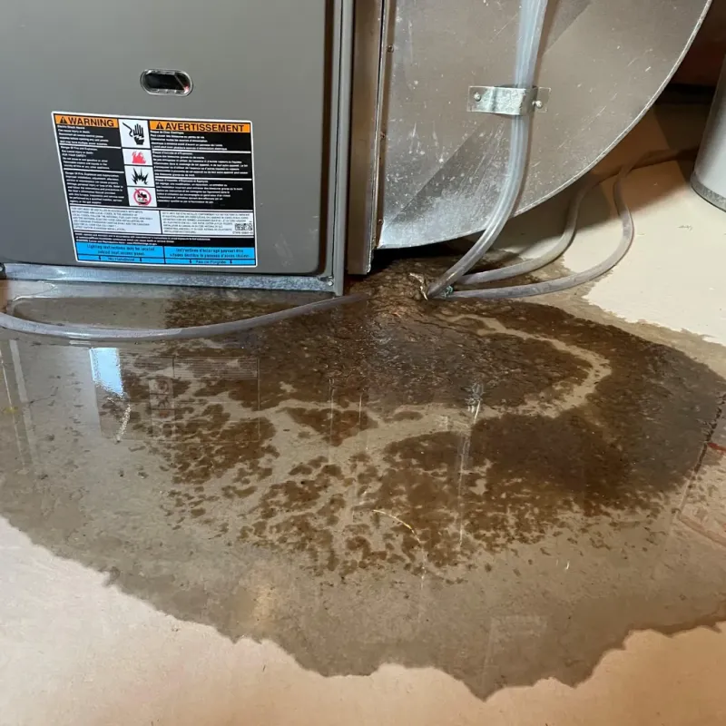Appliance Leak Cleanup in Richmond, MI