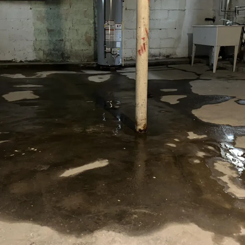 Emergency Water Extraction And Removal in Richmond, MI